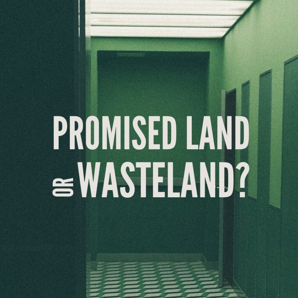 Promised Land or Wasteland?